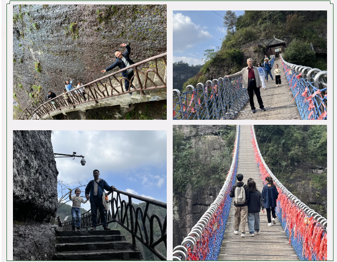 1730708088204.png image.png